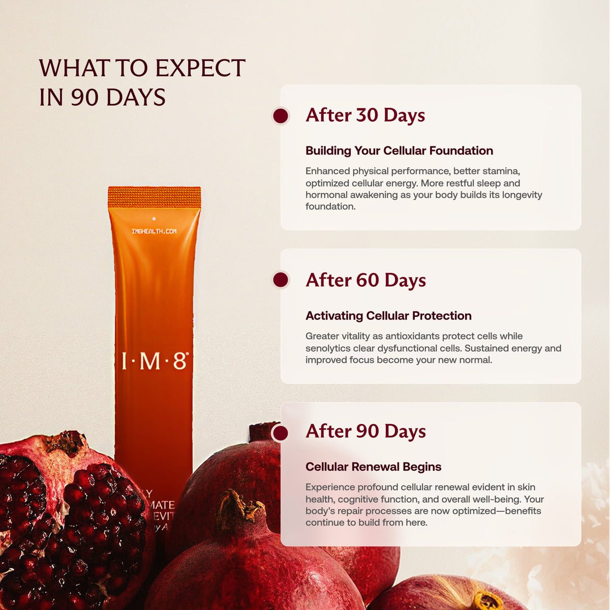 IM8 timeline: what to expect in 90 days — cellular foundation after 30 days, cellular protection after 60, cellular renewal after 90