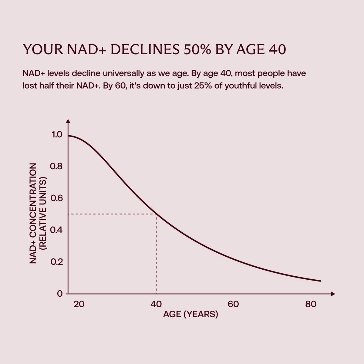 Chart: NAD+ concentration declines with age — halved by 40 and down to about 25% of youthful levels by 60